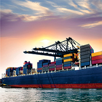 PPO welcomes newest client, The South African Association of Freight Forwarders