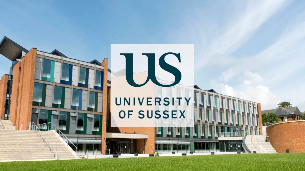 University of Sussex project office gains valuable insight through early maturity assessment