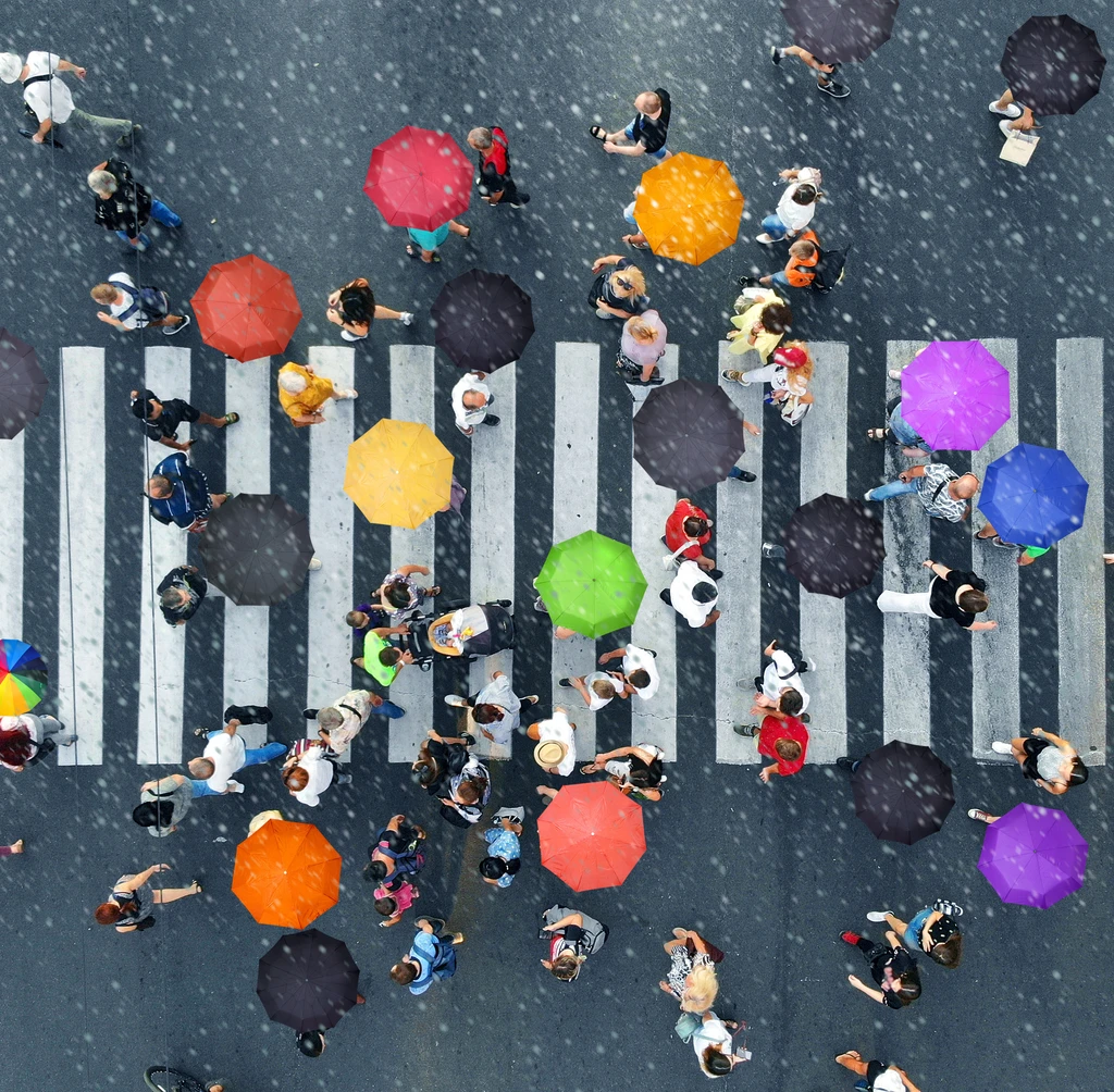 Aerial view of people holding colorful umbrellas crossing a zebra-striped crosswalk on a rainy day, illustrating the dynamic organization and strategy often found in portfolio management. Rain glistens on the street below.